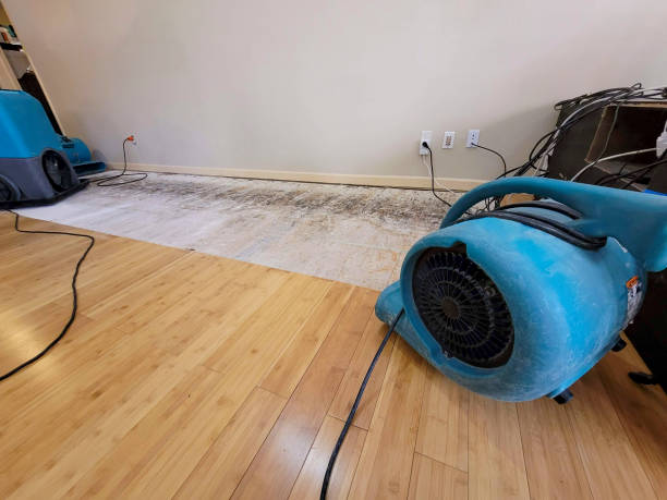 Professional Flood Damage Cleanup technician working in Paris, MI